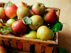 Что можно приготовить из яблок?