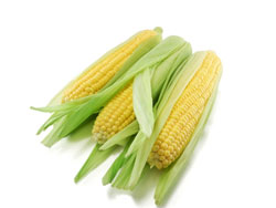 Кукуруза - полезные свойства, калорийность, состав