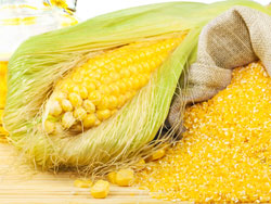 Кукурузная каша - польза и вред, калорийность