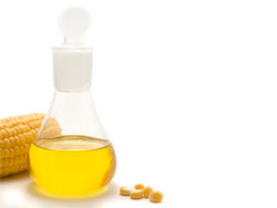 Кукурузное масло - полезные свойства и противопоказания
