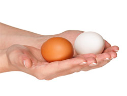 Польза куриных яиц для организма человека