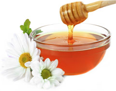 Чем полезен мед для организма человека